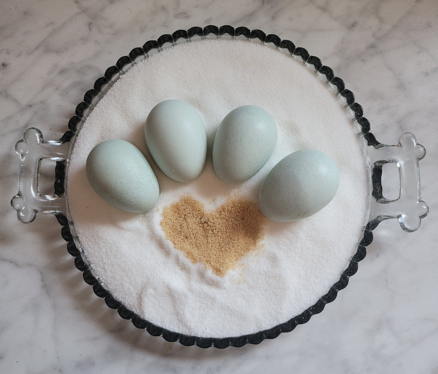 Ameraucana Hatching Eggs (NOT AMERICANA, EE)